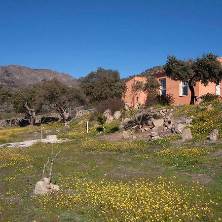 Finca El Rabilargo Arroyomolinos de Montanchez Luaran gambar