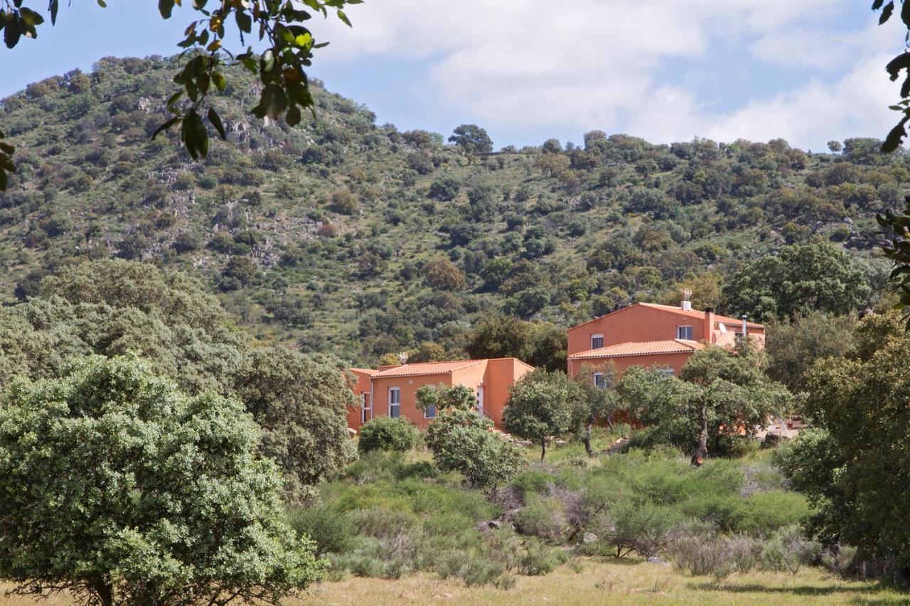 Finca El Rabilargo Arroyomolinos de Montanchez Bilik gambar